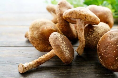 Shiitake